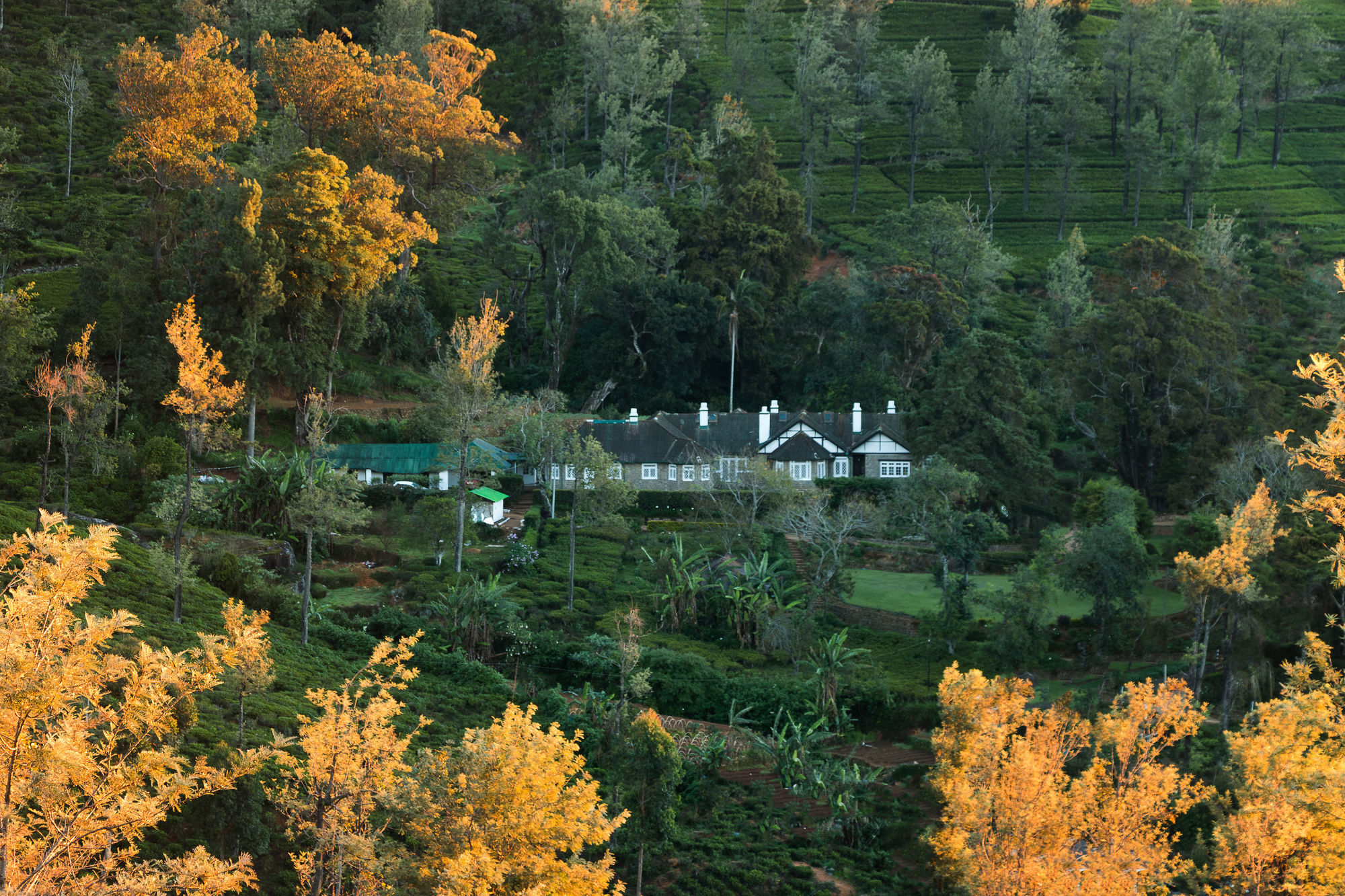 Scottish Planter Bungalow- Thema Collection Villa Nuwara Eliya Exterior photo